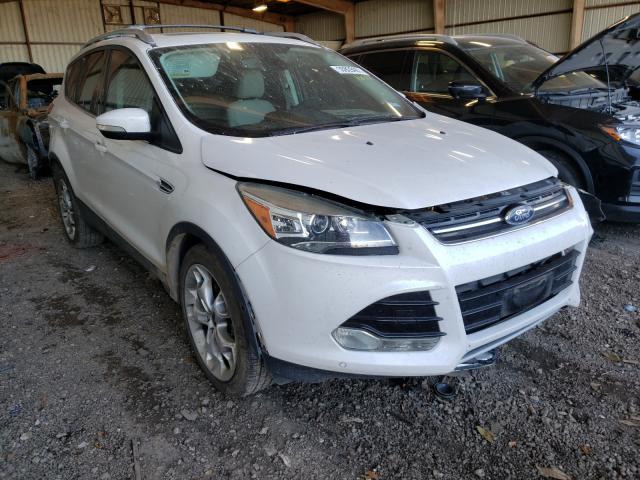 Photo 0 VIN: 1FMCU0J96EUA62061 - FORD ESCAPE TIT 