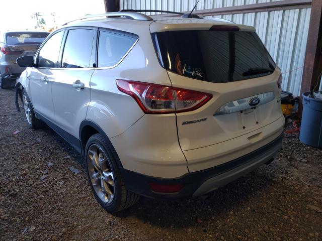 Photo 2 VIN: 1FMCU0J96EUA62061 - FORD ESCAPE TIT 