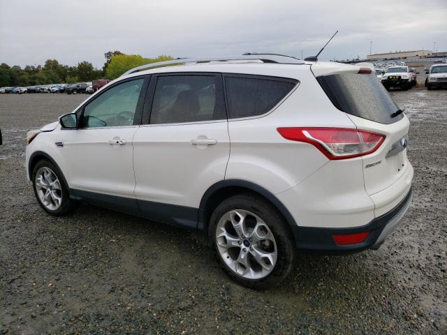 Photo 1 VIN: 1FMCU0J96EUB16278 - FORD ESCAPE 