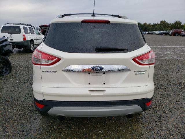 Photo 5 VIN: 1FMCU0J96EUB16278 - FORD ESCAPE 