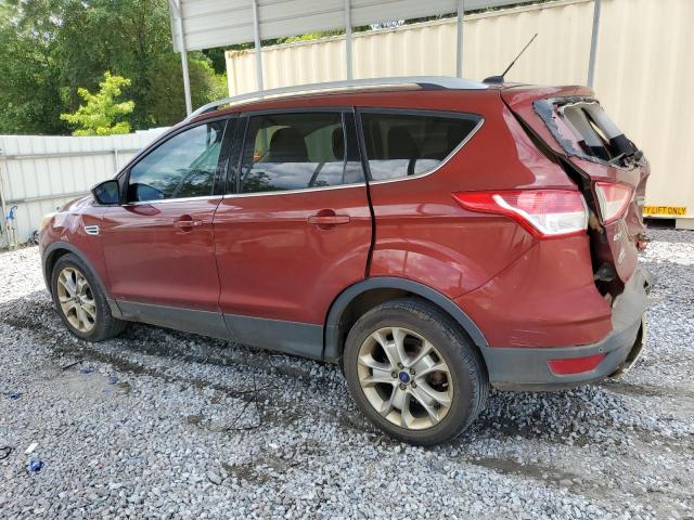 Photo 1 VIN: 1FMCU0J96EUB38863 - FORD ESCAPE 