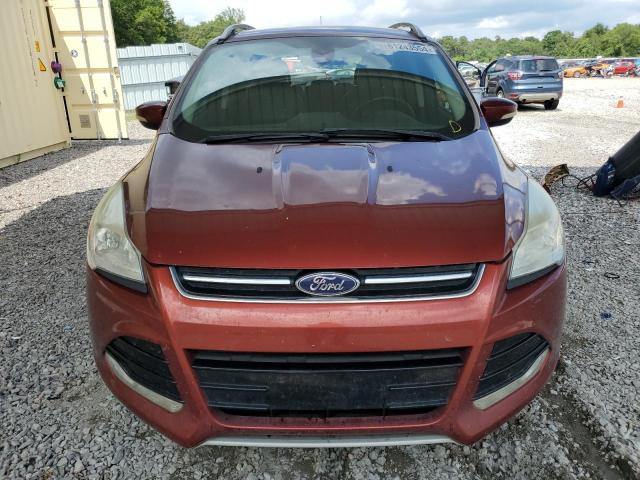 Photo 4 VIN: 1FMCU0J96EUB38863 - FORD ESCAPE 