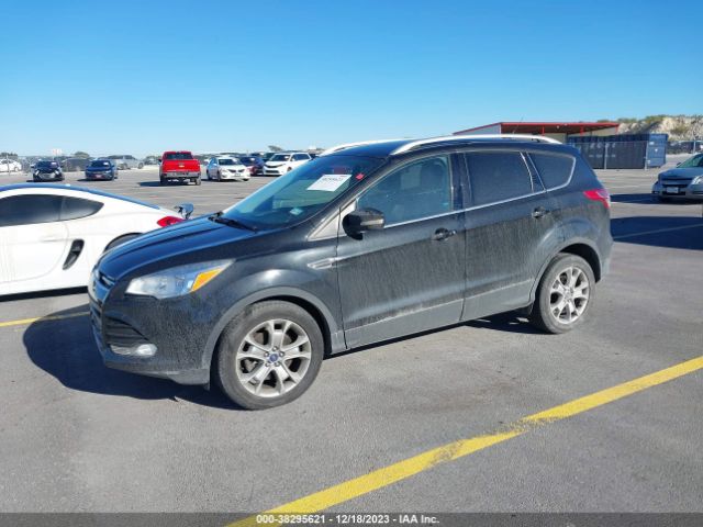 Photo 1 VIN: 1FMCU0J96EUD64515 - FORD ESCAPE 