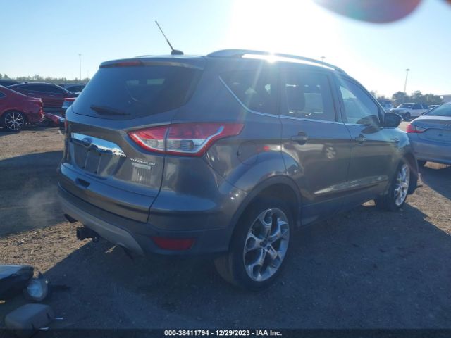 Photo 3 VIN: 1FMCU0J97EUA61856 - FORD ESCAPE 