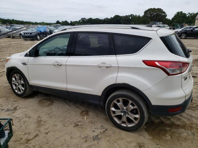 Photo 1 VIN: 1FMCU0J97EUD36092 - FORD ESCAPE 