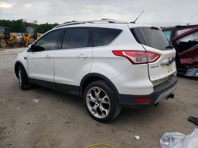 Photo 1 VIN: 1FMCU0J97EUE06934 - FORD ESCAPE 