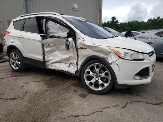 Photo 3 VIN: 1FMCU0J97EUE06934 - FORD ESCAPE 