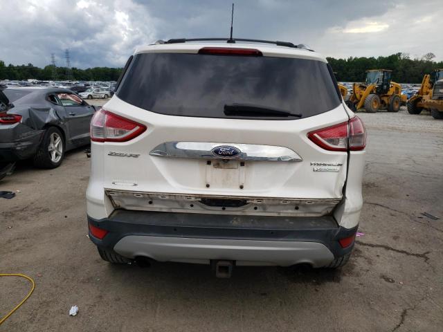 Photo 5 VIN: 1FMCU0J97EUE06934 - FORD ESCAPE 