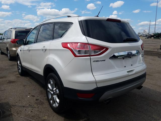 Photo 2 VIN: 1FMCU0J97EUE09851 - FORD ESCAPE 