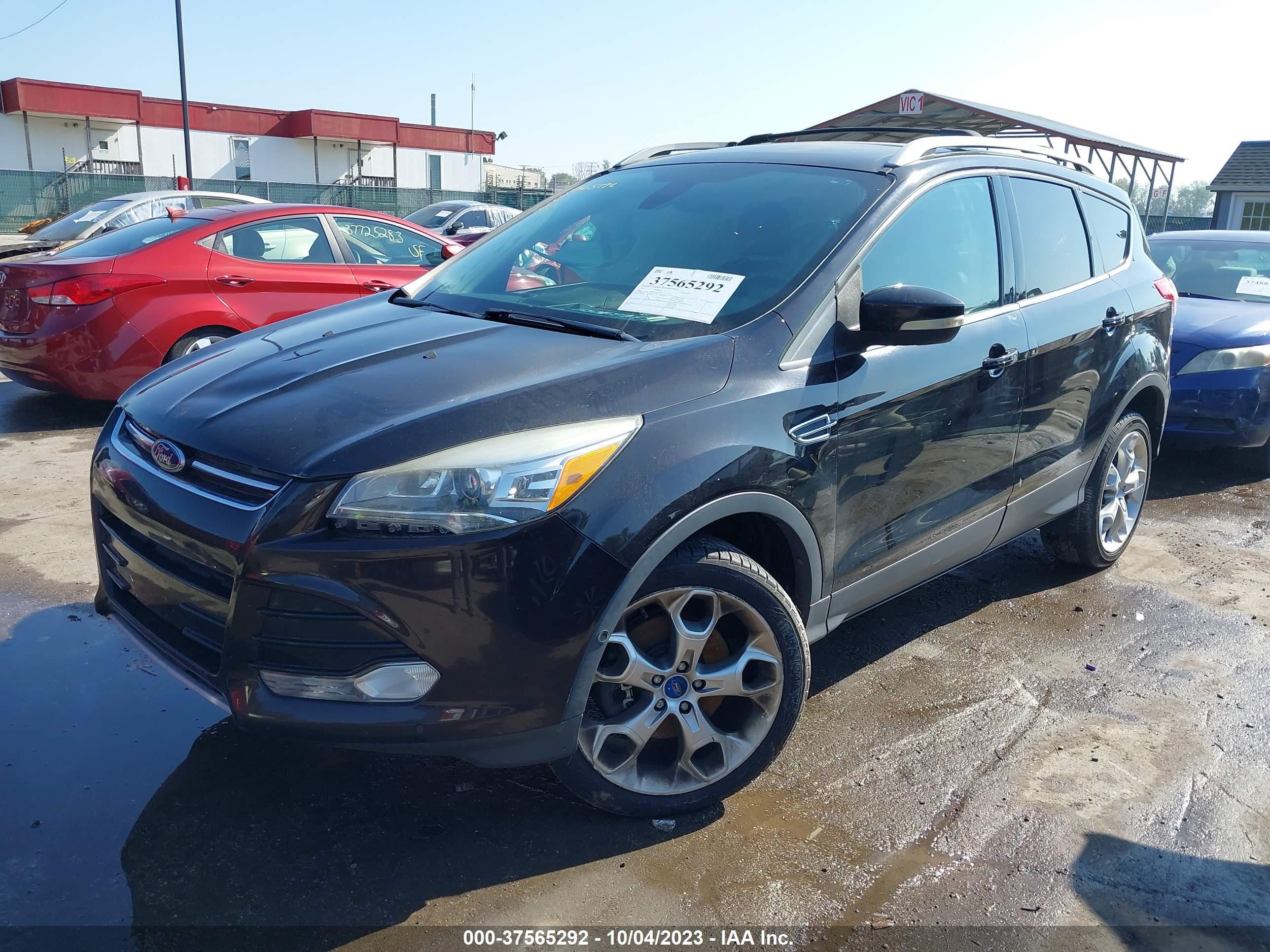 Photo 1 VIN: 1FMCU0J98DUC67671 - FORD ESCAPE 