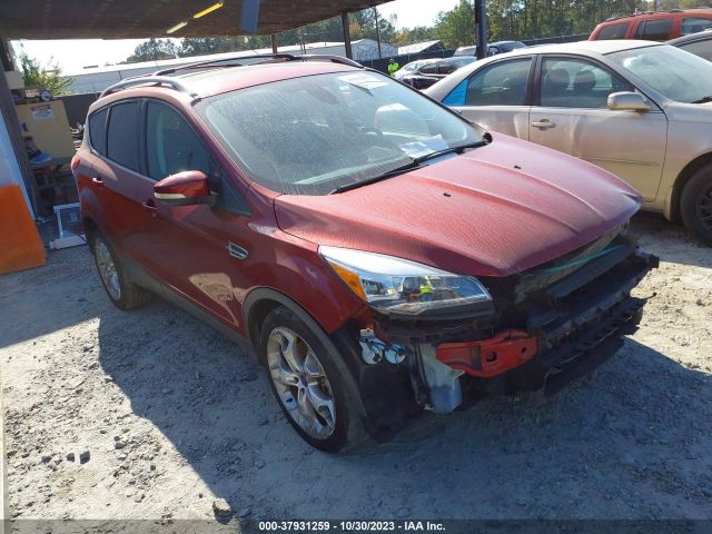 Photo 0 VIN: 1FMCU0J98DUD07134 - FORD ESCAPE 