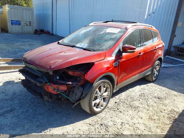 Photo 1 VIN: 1FMCU0J98DUD07134 - FORD ESCAPE 