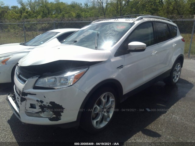 Photo 1 VIN: 1FMCU0J98EUB55258 - FORD ESCAPE 