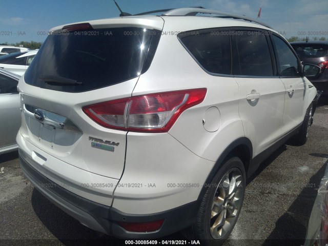 Photo 3 VIN: 1FMCU0J98EUB55258 - FORD ESCAPE 