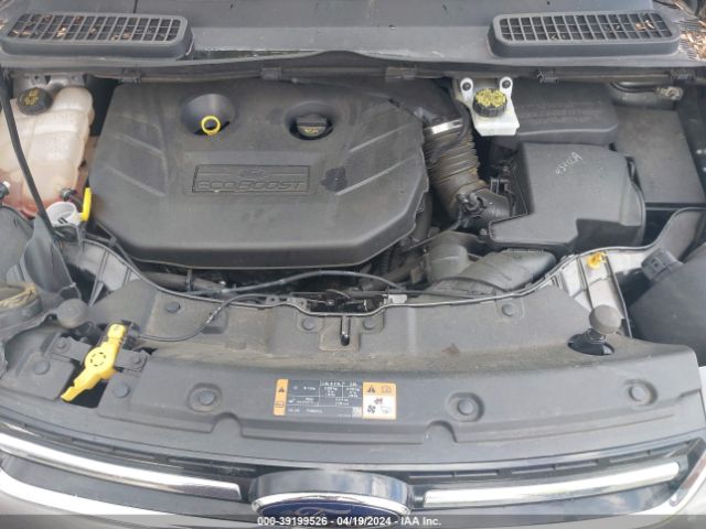 Photo 9 VIN: 1FMCU0J98EUC04796 - FORD ESCAPE 