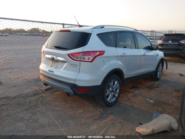 Photo 3 VIN: 1FMCU0J98GUA10000 - FORD ESCAPE 