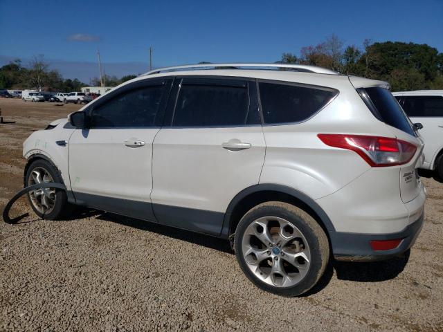 Photo 1 VIN: 1FMCU0J99DUB60371 - FORD ESCAPE 