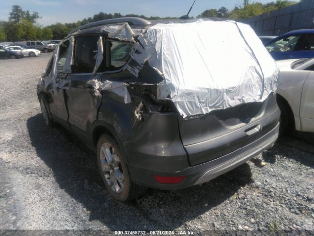 Photo 2 VIN: 1FMCU0J99EUC31456 - FORD ESCAPE 