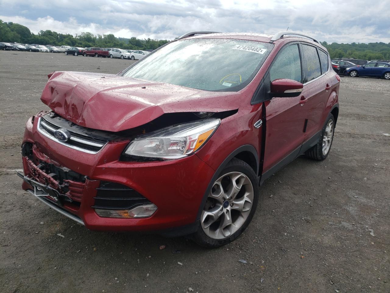 Photo 1 VIN: 1FMCU0J99EUE08037 - FORD ESCAPE 