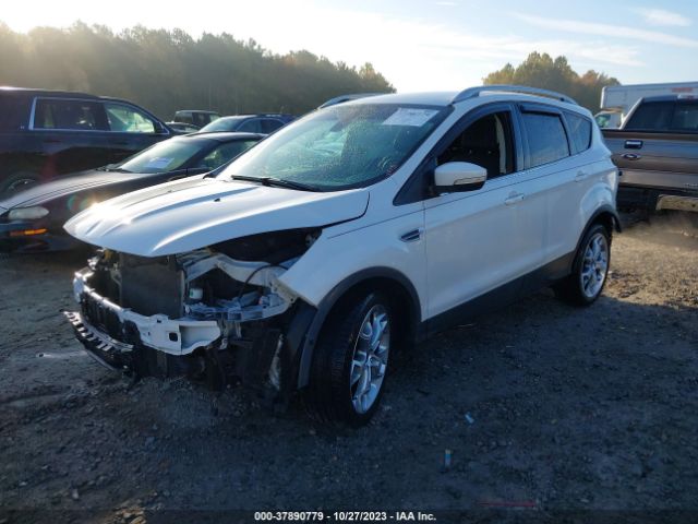 Photo 1 VIN: 1FMCU0J9XEUD16287 - FORD ESCAPE 