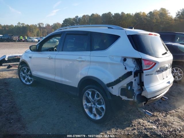 Photo 2 VIN: 1FMCU0J9XEUD16287 - FORD ESCAPE 