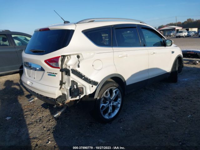 Photo 3 VIN: 1FMCU0J9XEUD16287 - FORD ESCAPE 