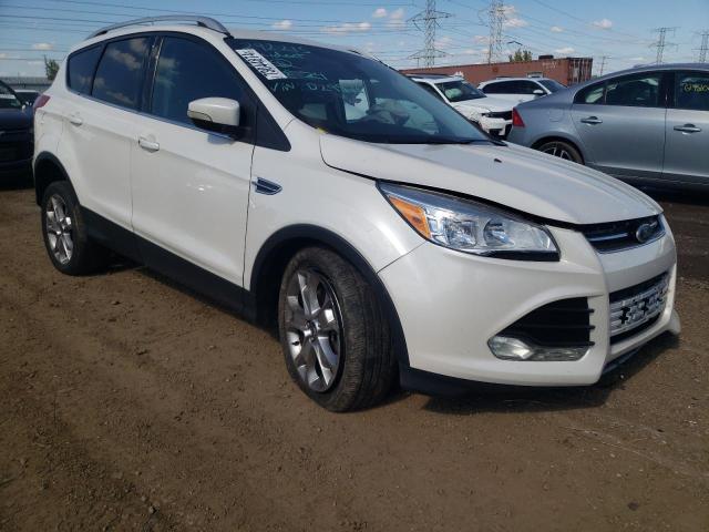 Photo 3 VIN: 1FMCU0J9XEUD29976 - FORD ESCAPE TIT 