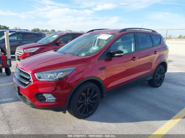 Photo 1 VIN: 1FMCU0JD0HUD84476 - FORD ESCAPE 