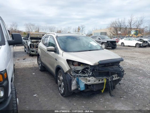 Photo 0 VIN: 1FMCU0JD1HUC37695 - FORD ESCAPE 