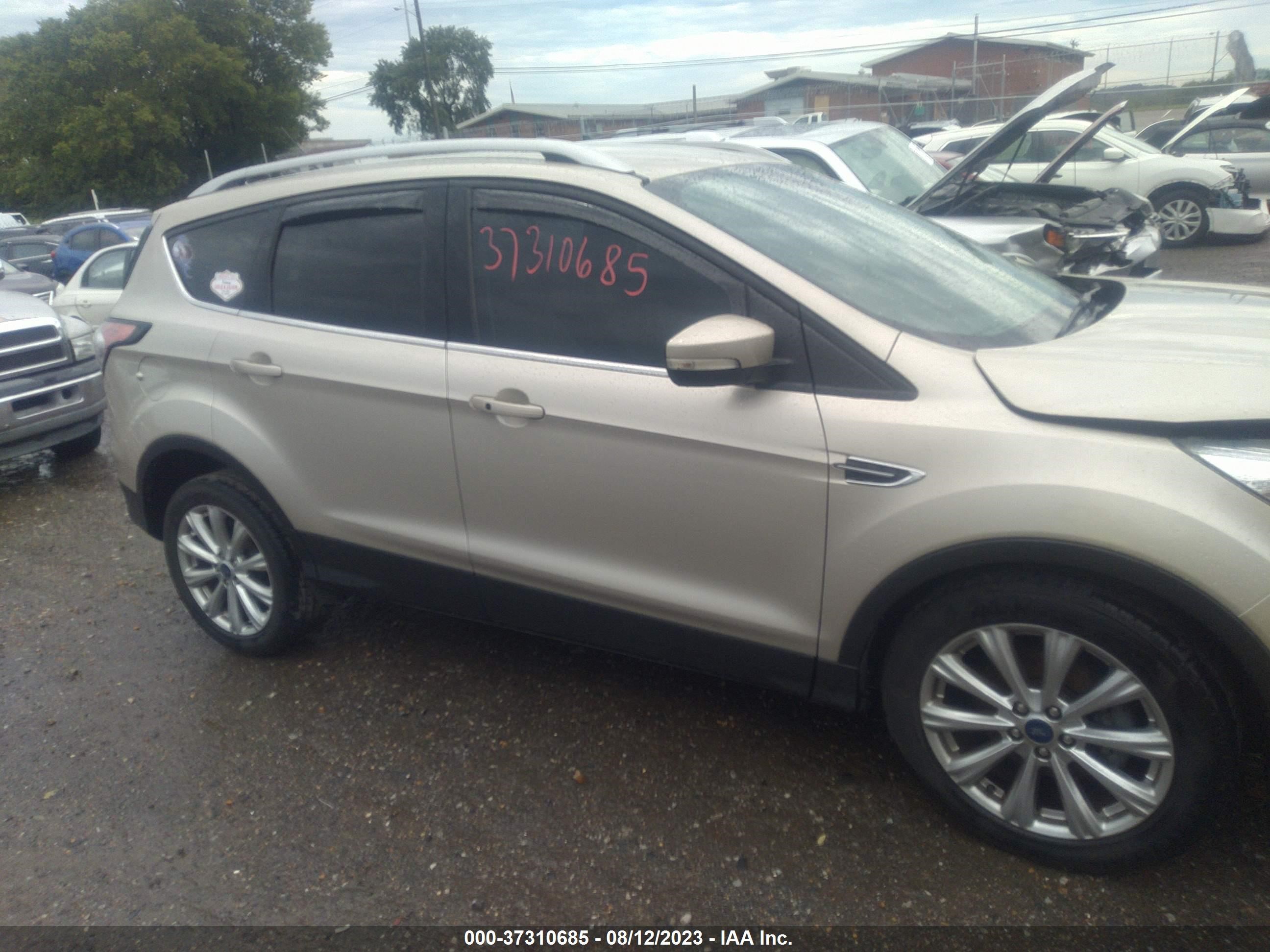 Photo 12 VIN: 1FMCU0JD1HUD15697 - FORD ESCAPE 