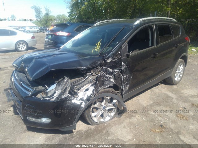 Photo 1 VIN: 1FMCU0JX0EUE09074 - FORD ESCAPE 