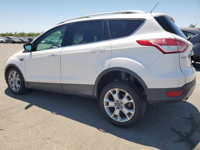 Photo 1 VIN: 1FMCU0JX1EUB47940 - FORD ESCAPE 