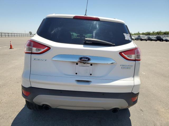 Photo 5 VIN: 1FMCU0JX1EUB47940 - FORD ESCAPE 