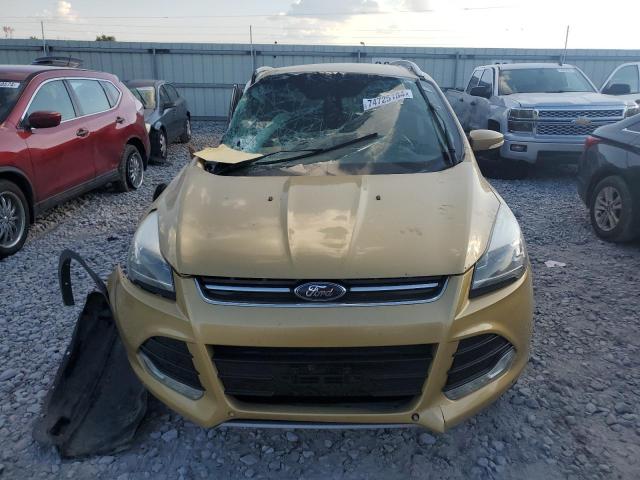 Photo 4 VIN: 1FMCU0JX1EUC36259 - FORD ESCAPE TIT 