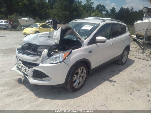 Photo 1 VIN: 1FMCU0JX2EUD98532 - FORD ESCAPE 