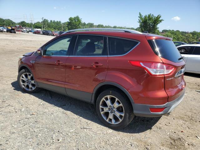 Photo 1 VIN: 1FMCU0JX2EUE21520 - FORD ESCAPE 