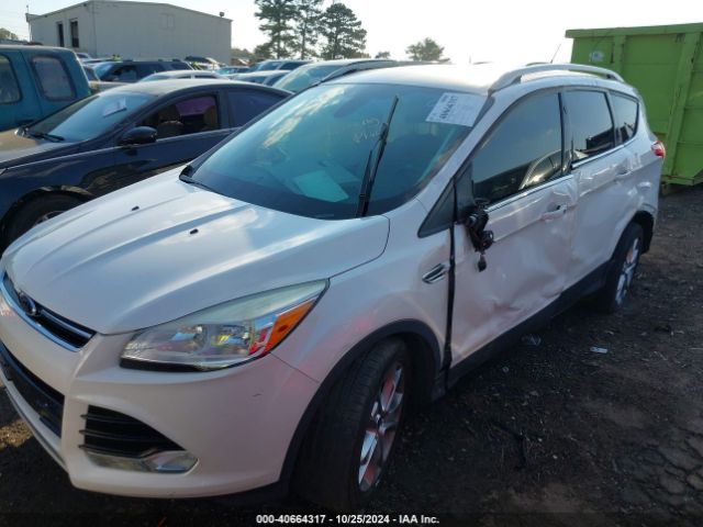 Photo 5 VIN: 1FMCU0JX2FUA36511 - FORD ESCAPE 