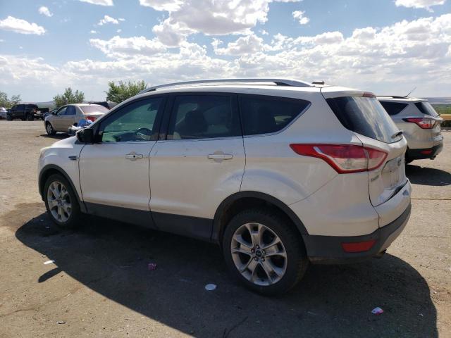 Photo 1 VIN: 1FMCU0JX3EUB29259 - FORD ESCAPE 