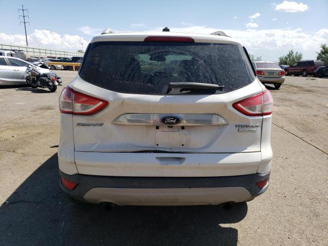 Photo 5 VIN: 1FMCU0JX3EUB29259 - FORD ESCAPE 