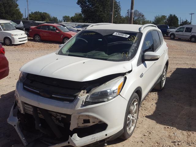 Photo 1 VIN: 1FMCU0JX3EUD16775 - FORD ESCAPE TIT 