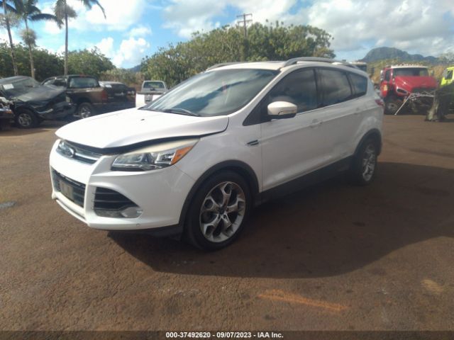 Photo 1 VIN: 1FMCU0JX4EUA45807 - FORD ESCAPE 