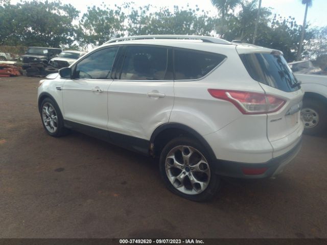 Photo 2 VIN: 1FMCU0JX4EUA45807 - FORD ESCAPE 