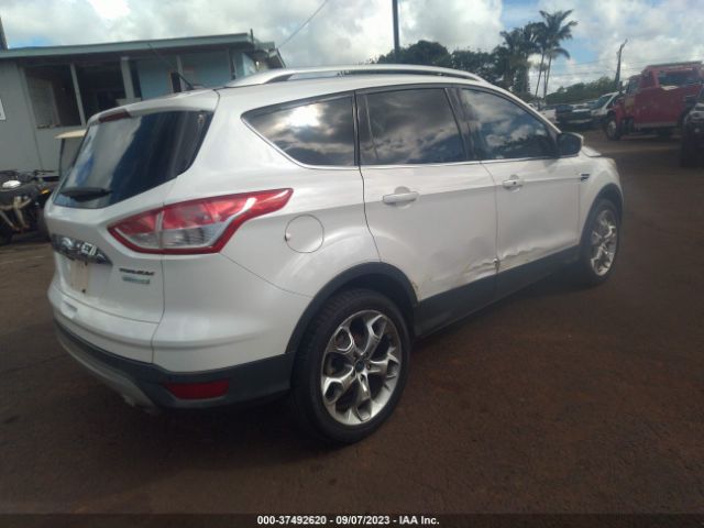 Photo 3 VIN: 1FMCU0JX4EUA45807 - FORD ESCAPE 