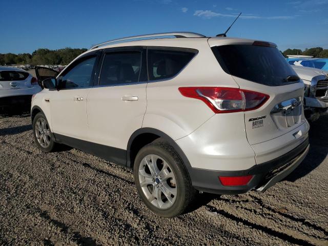 Photo 1 VIN: 1FMCU0JX4EUB27455 - FORD ESCAPE 