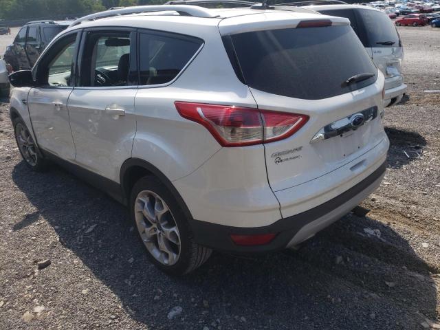 Photo 2 VIN: 1FMCU0JX4EUD06269 - FORD ESCAPE TIT 