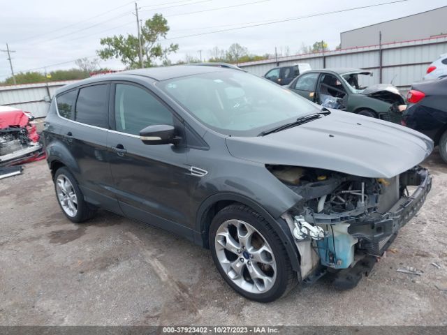 Photo 0 VIN: 1FMCU0JX4FUA99609 - FORD ESCAPE 