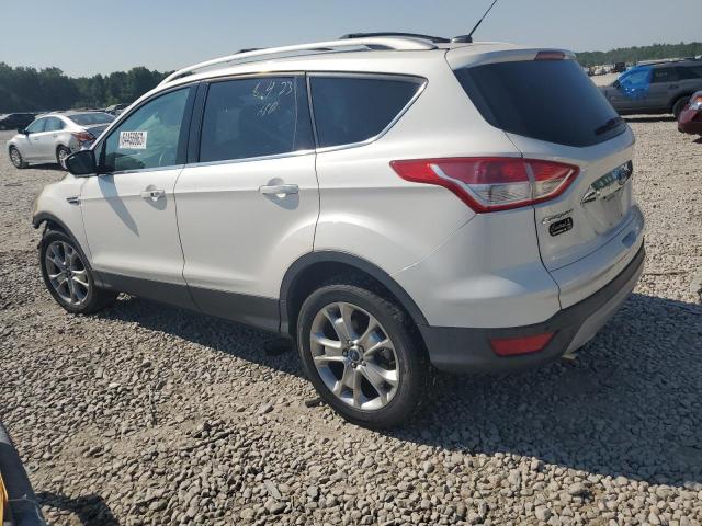 Photo 1 VIN: 1FMCU0JX6EUA81823 - FORD ESCAPE 