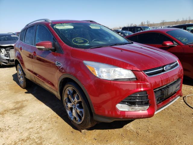 Photo 0 VIN: 1FMCU0JX6EUB98141 - FORD ESCAPE 