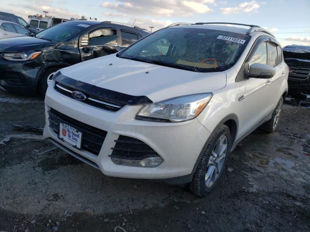 Photo 1 VIN: 1FMCU0JX6FUA30906 - FORD ESCAPE XLS 