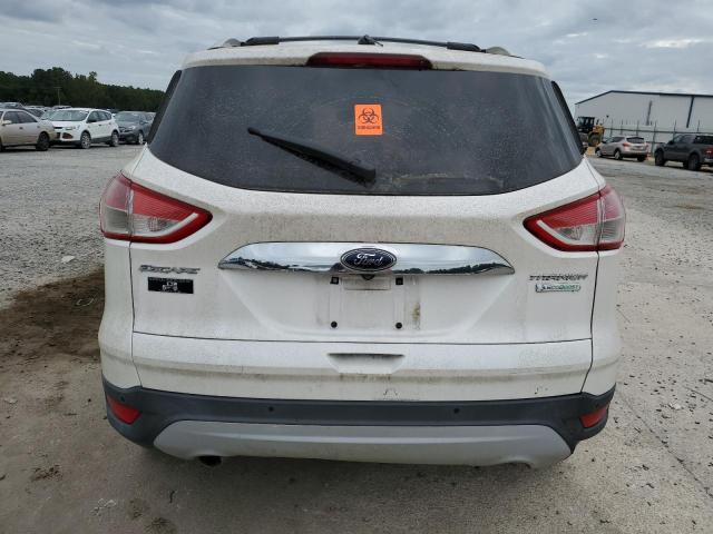 Photo 5 VIN: 1FMCU0JX7EUA02420 - FORD ESCAPE TIT 